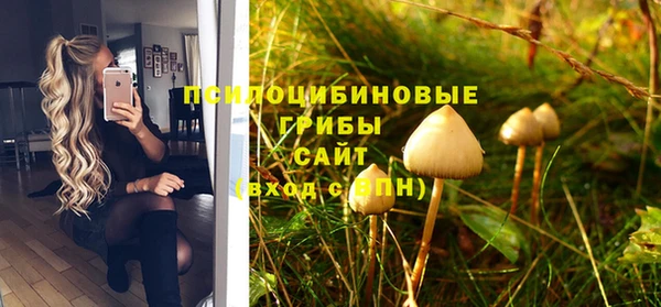 PSILOCYBIN Бородино